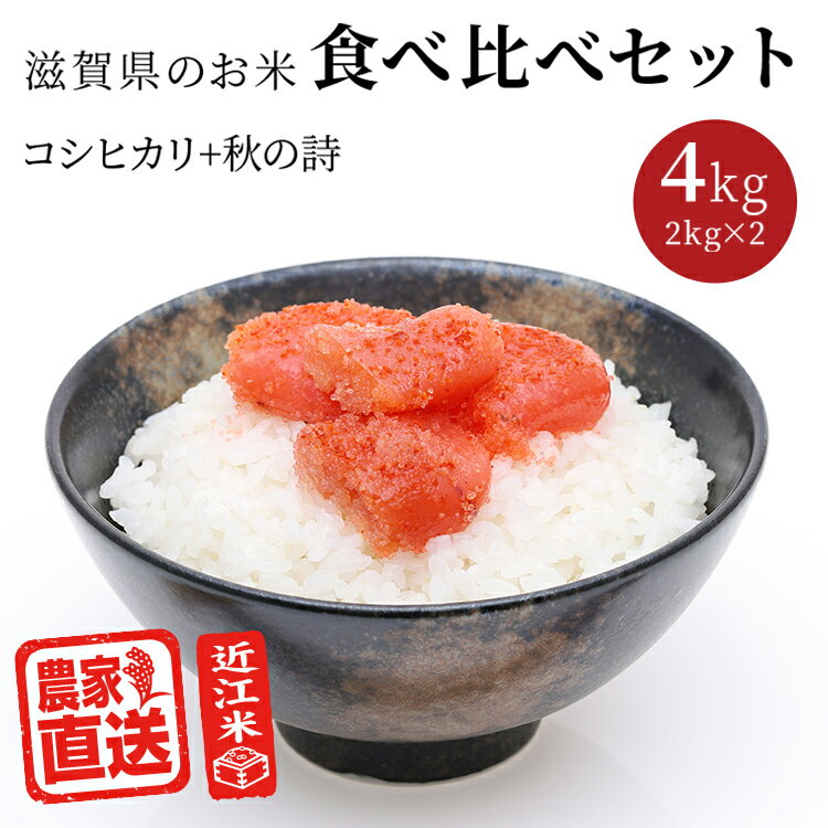 近江米 農家直送 令和5年産 お米食べ比べ セット コシヒカリ 秋の詩 (2kg×2種 計4kg) 滋賀県産 白米 玄米 送料無料 少量 味比べ 2023年