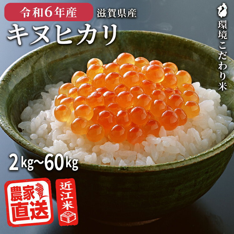 【 キヌヒカリ 白米 】 2024年産 新米 農家直送 近江米 米 2kg 3kg 5kg 10kg 30kg 60kg 令和6年 滋賀県産 お米 精米無料 環境こだわり米のサムネイル