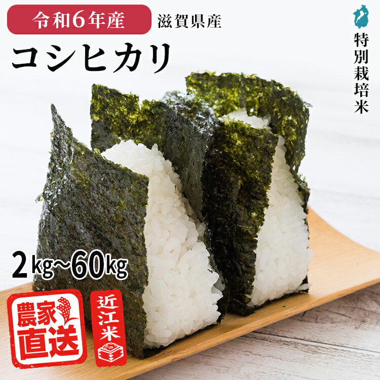 【 コシヒカリ 白米 】 2024年産 近江