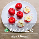 アルプス乙女 姫りんご 家庭用 約1～3kg 長野県産 調理用 製菓用 お菓子作り りんご飴 コンポート ジャム 果実酒