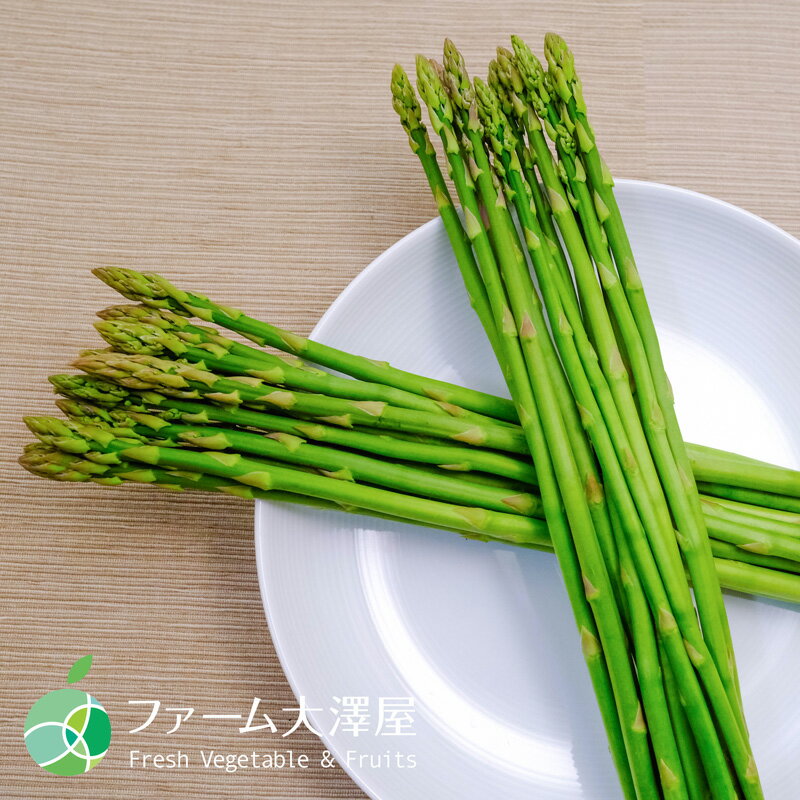 浦野さんのグリーンアスパラガス　細　約500g～　45本～　長野県須坂市産　国産野...