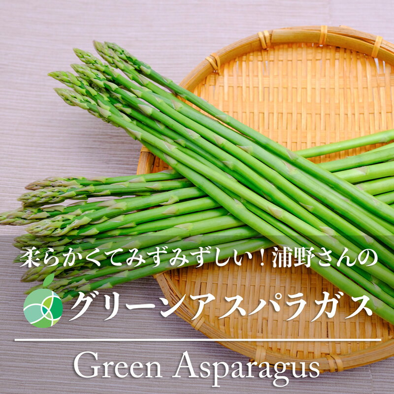 浦野さんのグリーンアスパラガス　細　約500g～　45本～　長野県須坂市産　国産野...