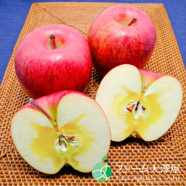 【最高級品】サンふじ(チャンピオンりんご)贈答用・特選ランク 約2kg(5〜6玉)長野県・志賀高原産