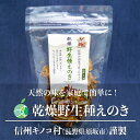 乾燥野生種えのき　3～5袋セット　内容量1袋15g　長野県須坂市産　信州キノコ村　茸　だし　乾物　贈り物　母の日