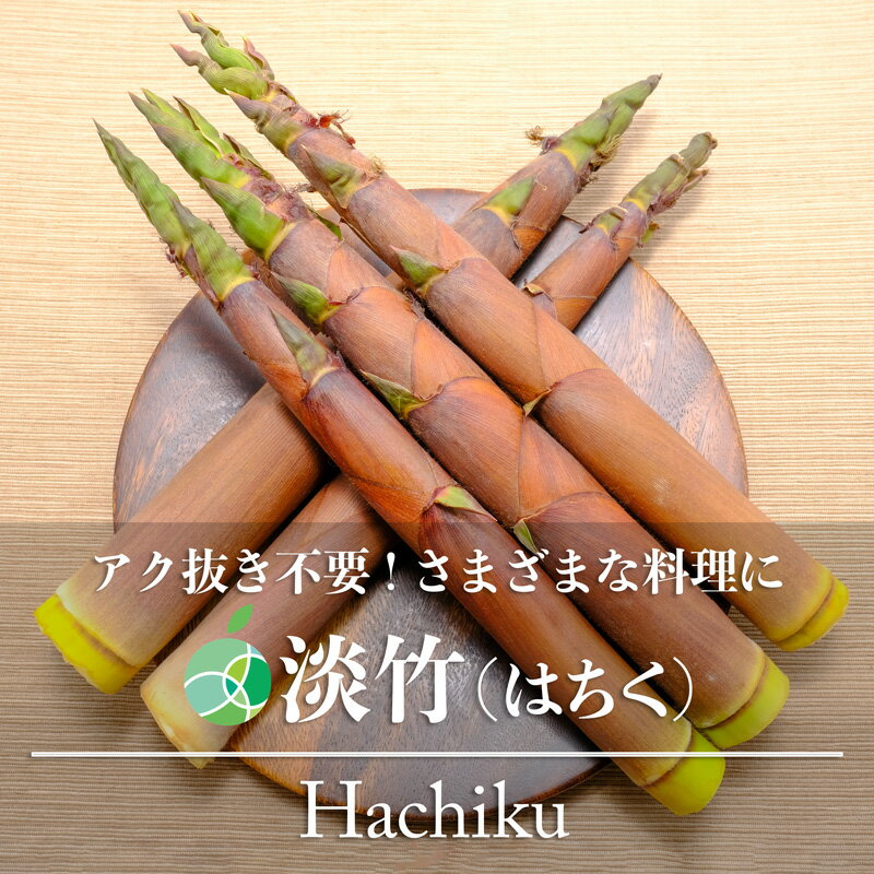 淡竹　たけのこ　約600g～　天然物　長野県産　山菜　はちく　ハチク　タケノコ　筍　土佐煮　たけのこご飯