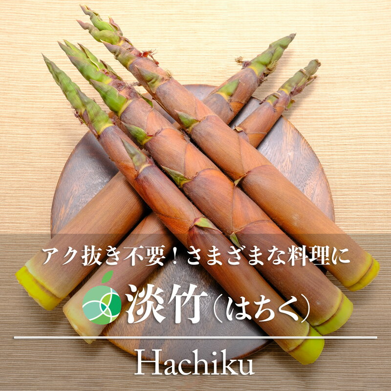 送料無料　淡竹　はちく　ハチク　たけのこ　タケノコ　天然物　約2kg　長野県産のサムネイル