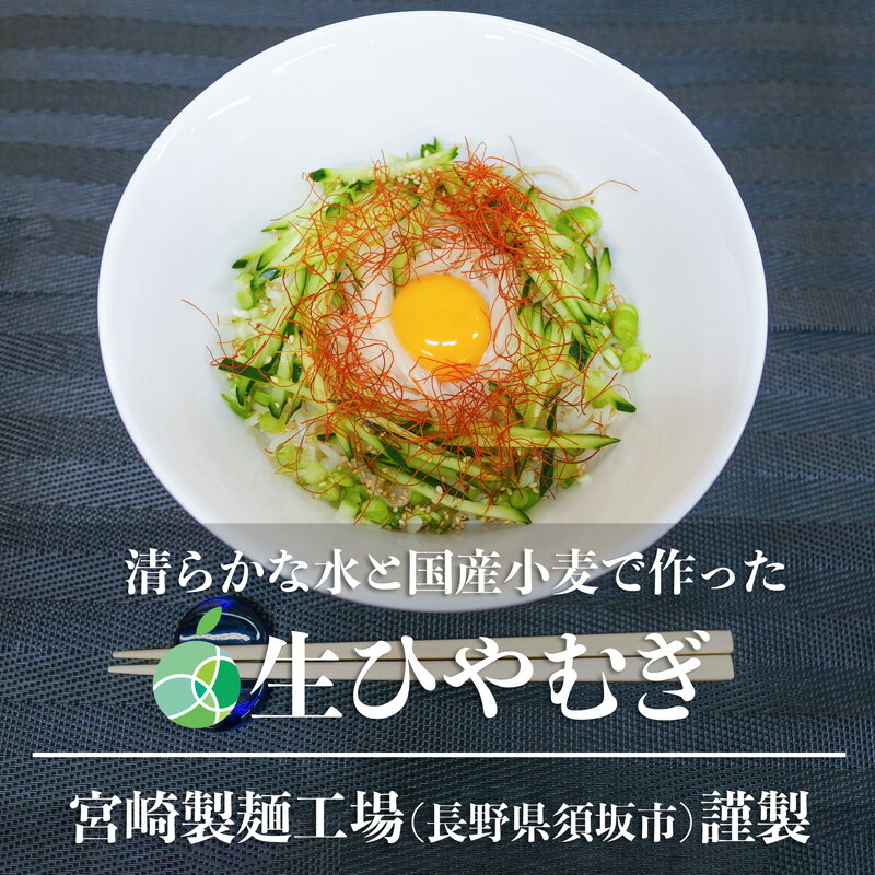 ひやむぎ 生ひやむぎ　2～5袋　長野県須坂市産　生麺　甘みがありモチモチツルツル　信州グルメ　お取り寄せ　ギフト　父の日　御中元