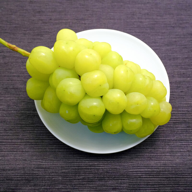 雄宝　ぶどう　約1kg　2房　長野県産のサムネイル