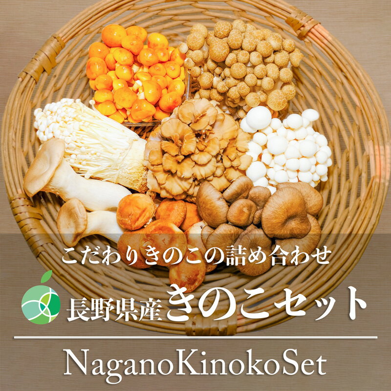 長野県産 きのこセット 8種類 シイタケ ヒラタケ マイタケ ブナシメジ ブナピー エリンギ エノキ ナメコ 各1-2パック 8-16パック 約1-2kg