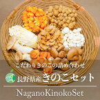 長野県産　きのこセット（8種類）シイタケ ヒラタケ マイタケ ブナシメジ ブナピー エリンギ エノキ ナメコ　各1-2パック（8-16パック）約1-2kg