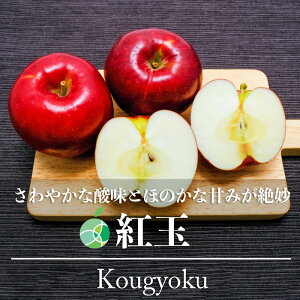 送料無料　紅玉　りんご　約2kg　6〜12玉　長野県産
