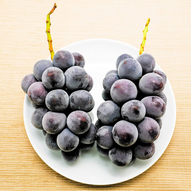 種なし巨峰　ぶどう　贈答用　秀　長野県産　葡萄　フルーツ　ギフト　贈り物　プレゼント　お礼　お土産　お見舞い　お供えのサムネイル