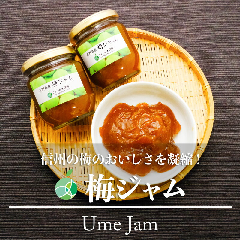 梅ジャム 3-5本セット 内容量1瓶220g 長野県産 国産 母の日 ギフト プレゼント 誕生日