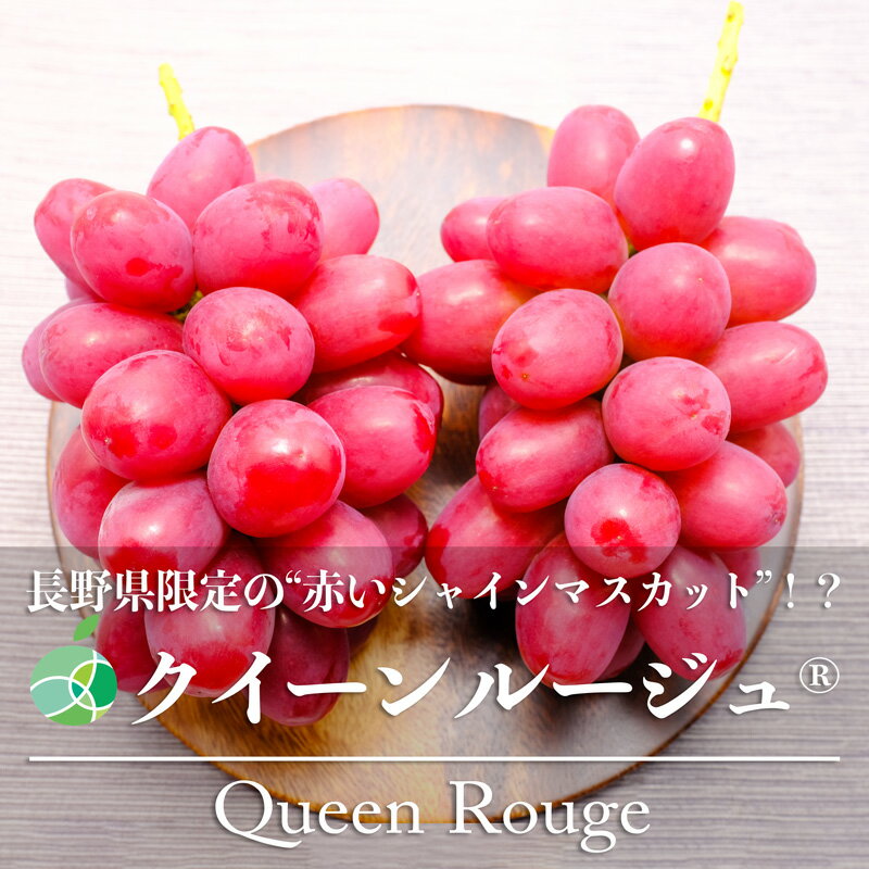 クイーンルージュ®　ぶどう　贈答用　秀　約1kg　2房　長野県産　敬老の日　2023　フルーツ　ギフト