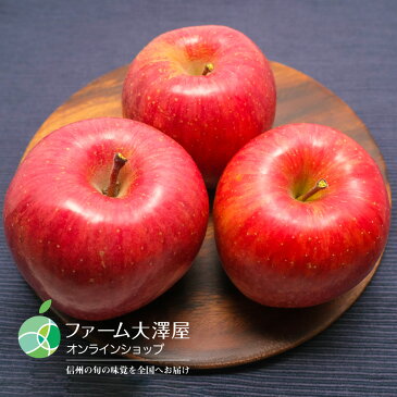 【送料無料】サンふじ(りんご)贈答用 10kg(中・26〜32玉)長野県産