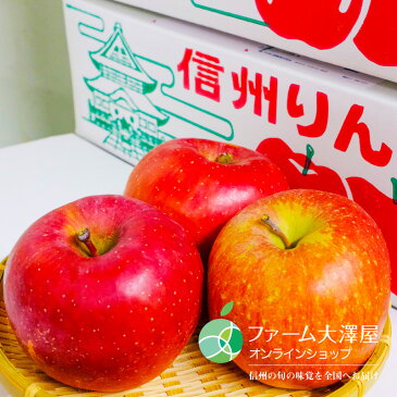 【訳あり】サンふじ(りんご)家庭用 10kg 長野県産