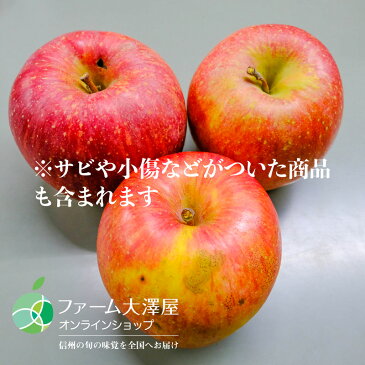 【訳あり】サンふじ(りんご)家庭用 10kg 長野県産