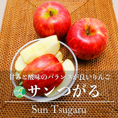 サンつがる　りんご　贈答用　約5kg　14-18玉　長野県産　敬老の日　2023年　フルーツ　ギフト