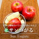 サンつがる　りんご　贈答用　約5kg　14-18玉　長野県産　敬老の日　2023年　フルーツ　ギフト