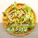 限定品　ぜんまい水煮　特級ロング　固形量1kg×10P（P1,500円税別）　業務用　ヤヨイ