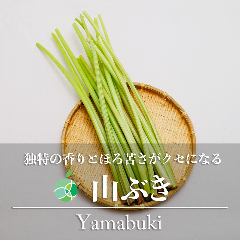 山ぶき　フキ　山菜　長野県産　きゃらぶき　佃煮　山の幸　春の味覚　国産　ギフト　贈り物　ごはんのお供　お土産　山蕗