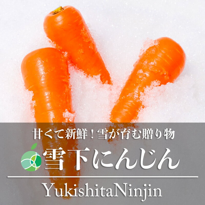 雪下にんじんは、雪の下で越冬させたにんじんのことで、新潟県津南町などの豪雪地で栽培されています。雪の下に貯蔵することで甘みが増し、にんじん特有の青臭さもなくなります。 また、雪の下では一定の温度を保つことができるので、水分が抜けることがなく鮮度や食感が落ちません。 雪下にんじんは、3月中旬から4月頃にかけて収穫されます。収穫時には、雪を取り除きながらにんじんを掘り起こします。 生のまま野菜スティックにして食べると、その甘さがよくわかります。サラダやマリネにしたり、厚めに切ってフライパンで両面焼きしたものをバター、醤油、みりん、砂糖で作ったタレに絡ませたステーキもオススメです。 保存する場合は、新聞紙などに包んで冷暗所で保管するといいでしょう。カットした雪下にんじんはラップでしっかりと包み冷蔵庫で保存してください。