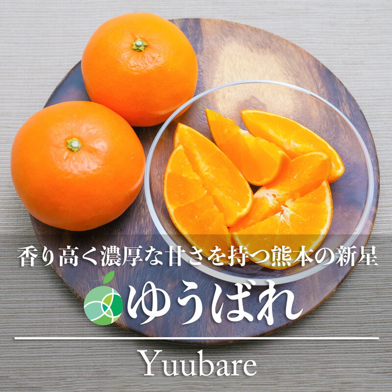 ゆうばれ　みかん　柑橘　優　家庭用　約2kg　熊本県産　バレンタイン　誕生日　プレゼント　フルーツ　ギフトのサムネイル