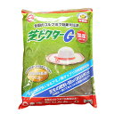 アミノ酸配合肥料 芝ドクターG 4kg