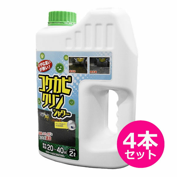 中島商事　トヨチュー　コケカビクリンシャワー　2L×4本セット　コケ、カビを根こそぎ退治　大容量タイプ 1