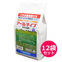 水稲用初・中期一発処理除草剤アールタイプ1キロ粒剤 1kg×12袋セット
