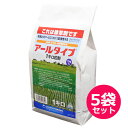 水稲用初・中期一発処理除草剤アールタイプ1キロ粒剤　1kg×5袋セット