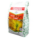 水稲用初・中期一発処理除草剤　カウンシルエナジー1キロ粒剤　1kg