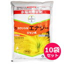 水稲用初・中期一発処理除草剤　カウンシルエナジージャンボ　400g×10袋セット　投げ込み用