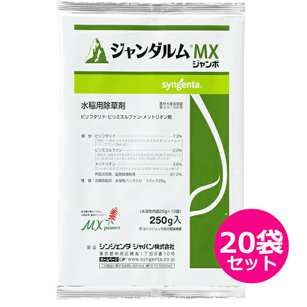 水稲用初・中期一発処理除草剤 ジャンダルムMXジャンボ　250g×20袋セット　投げ込み用