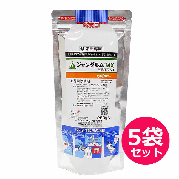 水稲用初・中期一発処理除草剤 ジャンダルムMX豆つぶ　250g×5袋セット