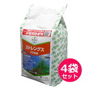 水稲用初・中期一発処理除草剤 ストレングス1キロ粒剤 4kg×4袋セット