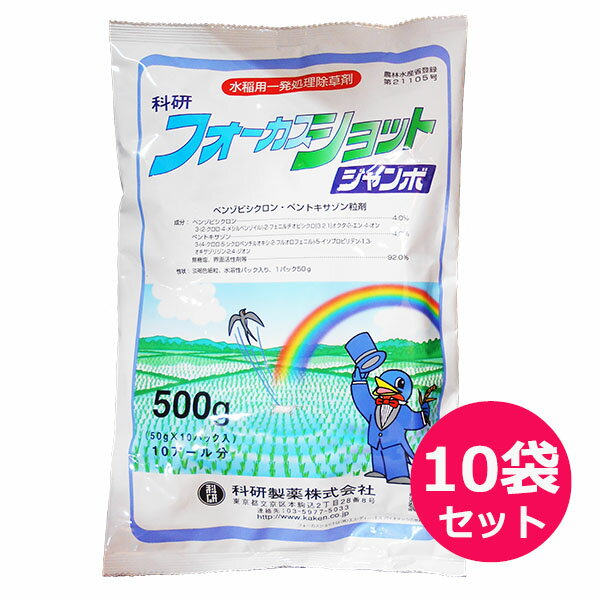 水稲用一発処理除草剤　フォーカスショットジャンボ　500g×10袋セット　投げ込み用