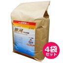 水稲用一発処理除草剤　銀河1キロ粒剤　5kg(50アール用)×4袋セット