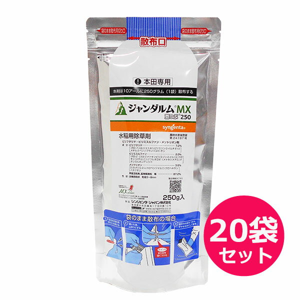 水稲用初・中期一発処理除草剤 ジャンダルムMX豆つぶ　250g×20袋セット