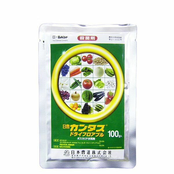 【追跡可能メール便　送料370円】殺菌剤　カンタスドライフロアブル　100g【代引き不可】