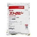 殺菌剤　ストロビードライフロアブル　500g×2袋セット