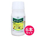 殺菌剤 オンリーワンフロアブル 250ml×6本セット
