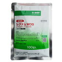 【追跡可能メール便 送料370円】殺菌剤 シグナムWDG 100g【代引き不可】