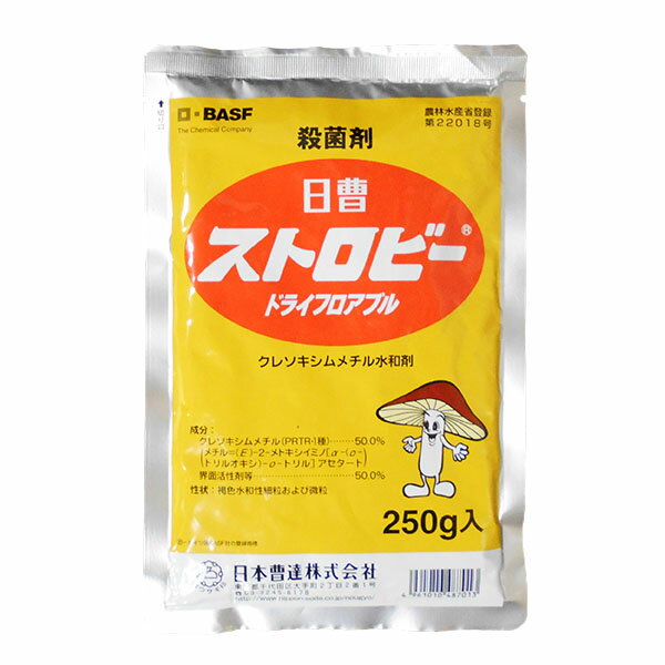 【追跡可能メール便　送料370円】殺菌剤　ストロビードライフロアブル　250g【代引き不可】