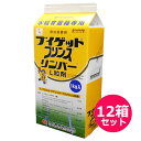 水稲育苗箱専用殺虫殺菌剤 ブイゲットプリンスリンバーL粒剤 1kg×12箱セット