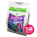 水稲育苗箱専用　殺虫殺菌剤　ヨーバルトップ箱粒剤　1kg×5袋セット　有効期限2024年10月