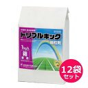 水稲用殺虫殺菌剤 トリプルキック箱粒剤 1kg×12袋セット