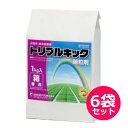 水稲用殺虫殺菌剤 トリプルキック箱粒剤 1kg×6袋セット