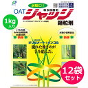 水稲用殺虫殺菌剤 ジャッジ箱粒剤 1kg×12袋セット