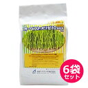水稲育苗箱専用殺虫・殺菌剤 オーベストオリゼ10箱粒剤 1kg×6袋セット